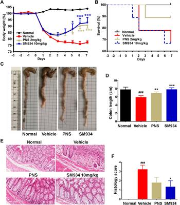 Artemisinin analog SM934 alleviates epithelial barrier dysfunction via inhibiting apoptosis and caspase-1-mediated pyroptosis in experimental colitis